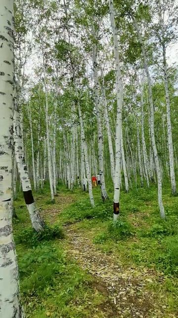 Воспоминания юности.Echoes Of First Love.Buryat Melancholic & Majestic
