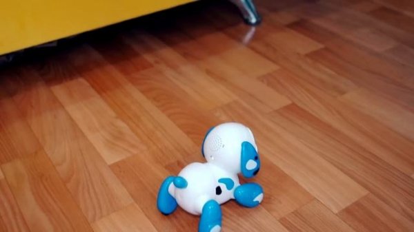 ДЕНЬ РОЖДЕНИЯ СОБАЧКИ ЭЛИС - Исполнилось 2 Года! ПОДАРИЛИ НОВОГО ДРУГА ? ПОДАРКИ