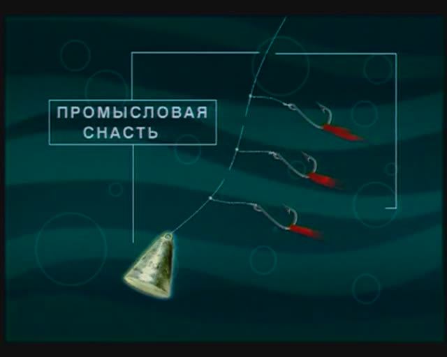 Какие снасти используют на Камчатке для ловли Однопёрого терпуга — Pleurogrammus monopterygius ? смотреть онлайн