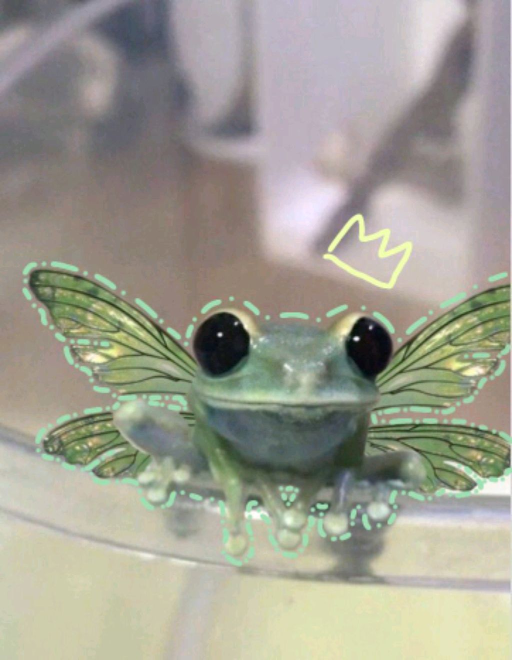 Продолжение