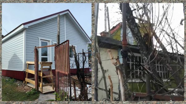 Купила Заброшенную Дачу Смотрим До и После Дачный сезон 2025