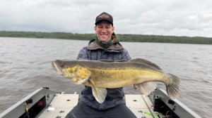 ВЕЧЕРНИЙ ВЫХОД НА РЫБАЛКЕ. НОВЫЙ РЕЦЕПТ СУДАКА. ПАРА ФИШЕК ОТ ПРОФЕССИОНАЛЬНОГО РЫБОЛОВНОГО