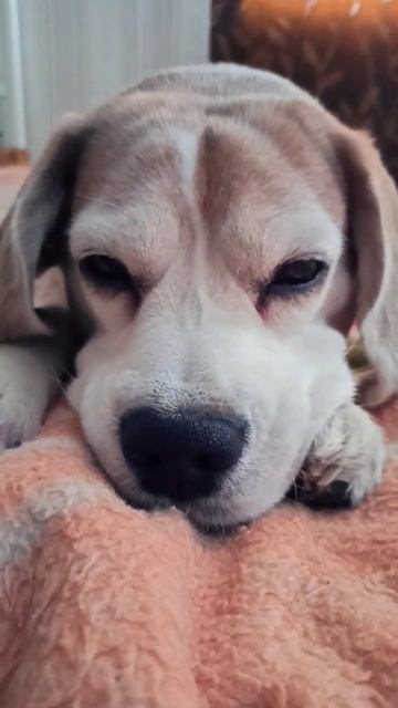 Задумался...