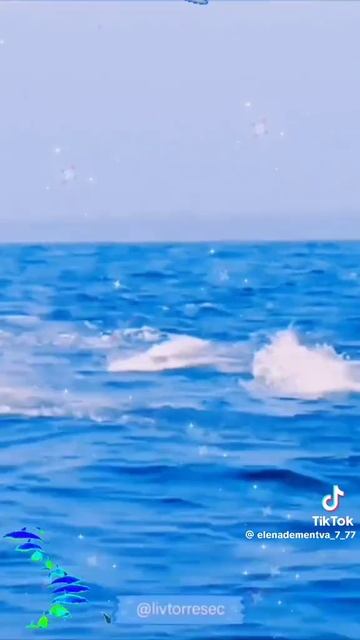 Природа, жизнь, свобода, счастье! смотреть онлайн