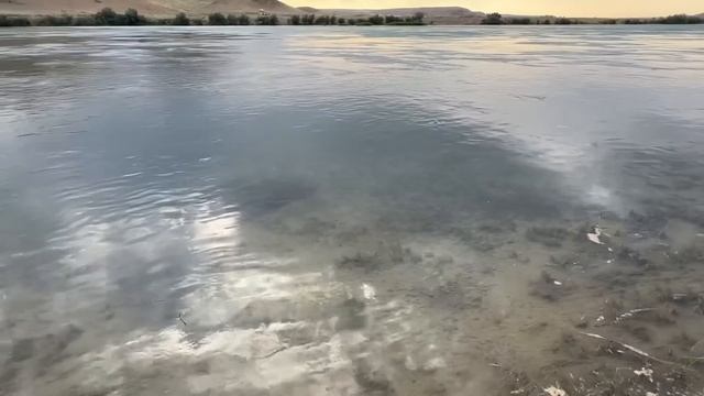 Преимущества отдыха на реке: спокойствие и близость к природе.