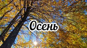 Уютный осенний влог🍁Два года моему деревенскому блогу🏠 Шашлык в печи.Чудо-птица и бычок Юрий.