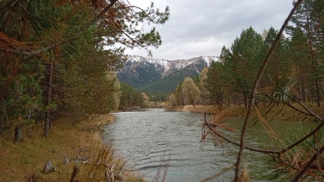 Осеннее настроение!! Я.,♥️Алтай! смотреть онлайн