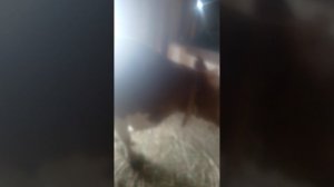 Все про деревню.