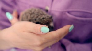 У НАС НОВЫЙ ПИТОМЕЦ | ЕДЕМ ЗА НАШИМ МАЛЫШОМ | #ВзялиПитомца