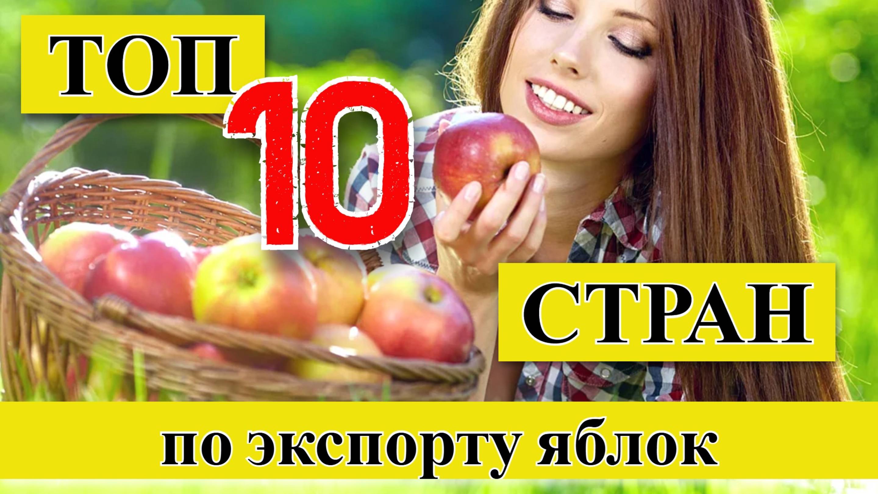 Экспорт ЯБЛОК: ТОП 10 стран по экспорту яблок (1961–2023) смотреть онлайн