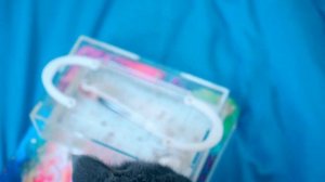 У НАС НОВЫЕ ПИТОМЦЫ! РЕАКЦИЯ БАТТЕРС И ЭЛИС