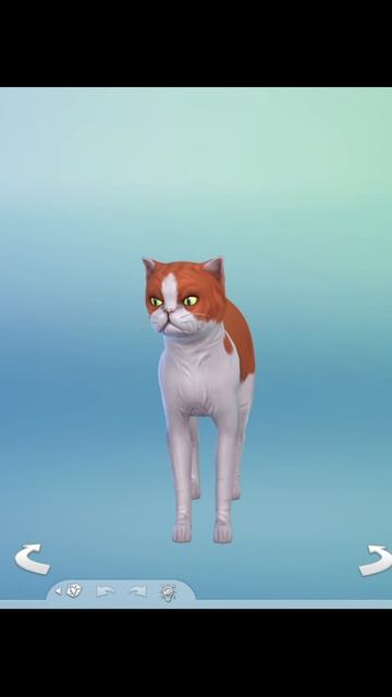 УСЫ-ЛАПЫ-ХВОСТ! Вот мои документы. #sims4 #симс4 #tiktok #sims4 #thesims4 #симс4 #sims4cc смотреть онлайн