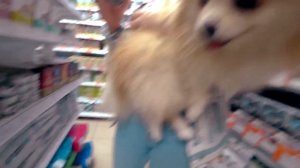 ВЕЗЕМ ЭЛИС НА ОПЕРАЦИЮ! ОПЕРАЦИИ НЕ БУДЕТ!