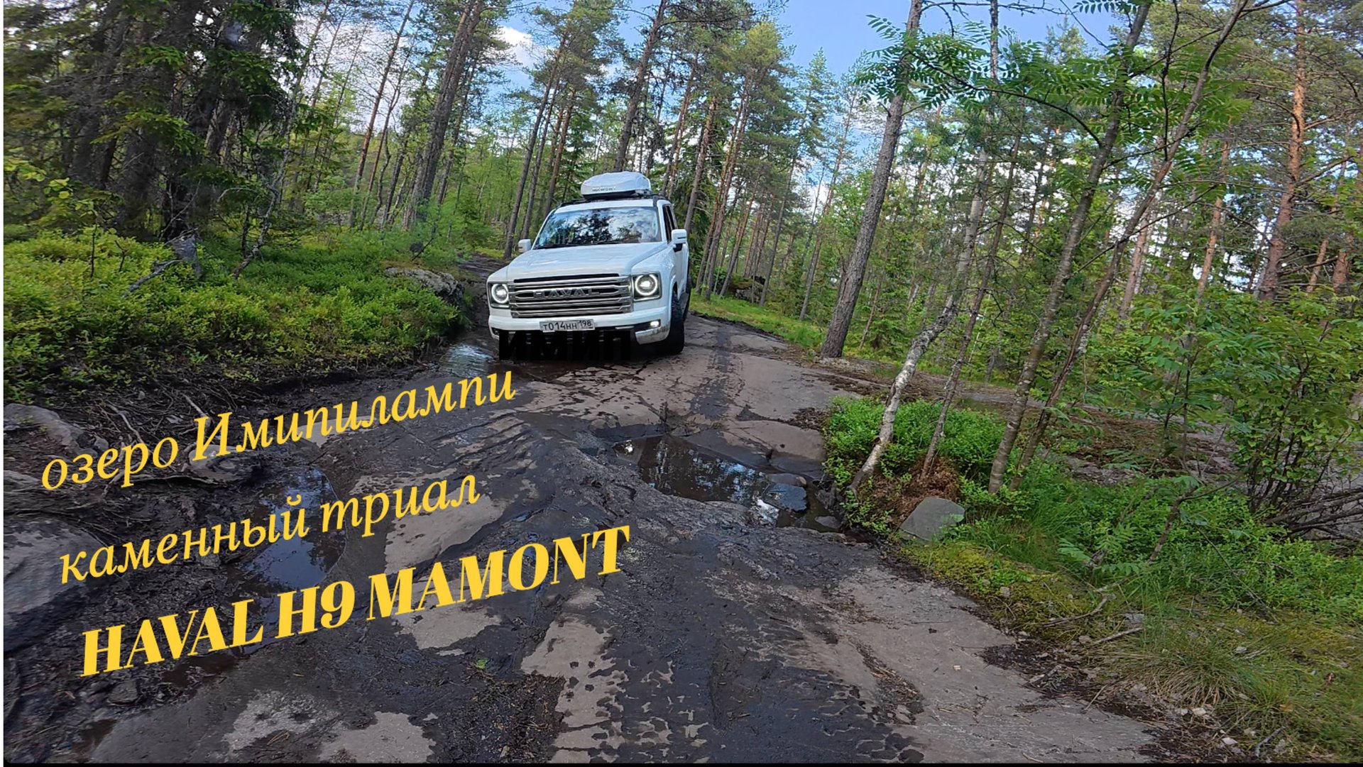 Импилампи 2025/HAVAL H9 Мамонт