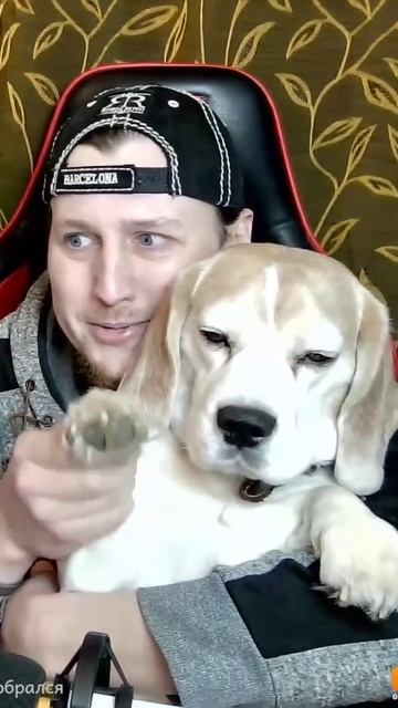 Друг на стрим зашел )))