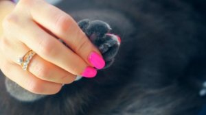 10 ФАКТОВ О КОШЕЧКЕ БАТТЕРС | 3 ЧАСТЬ