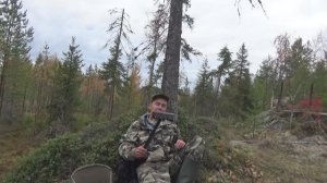 Сбор брусники/ Собираю ягоды граблями/ Ягоды Карелии