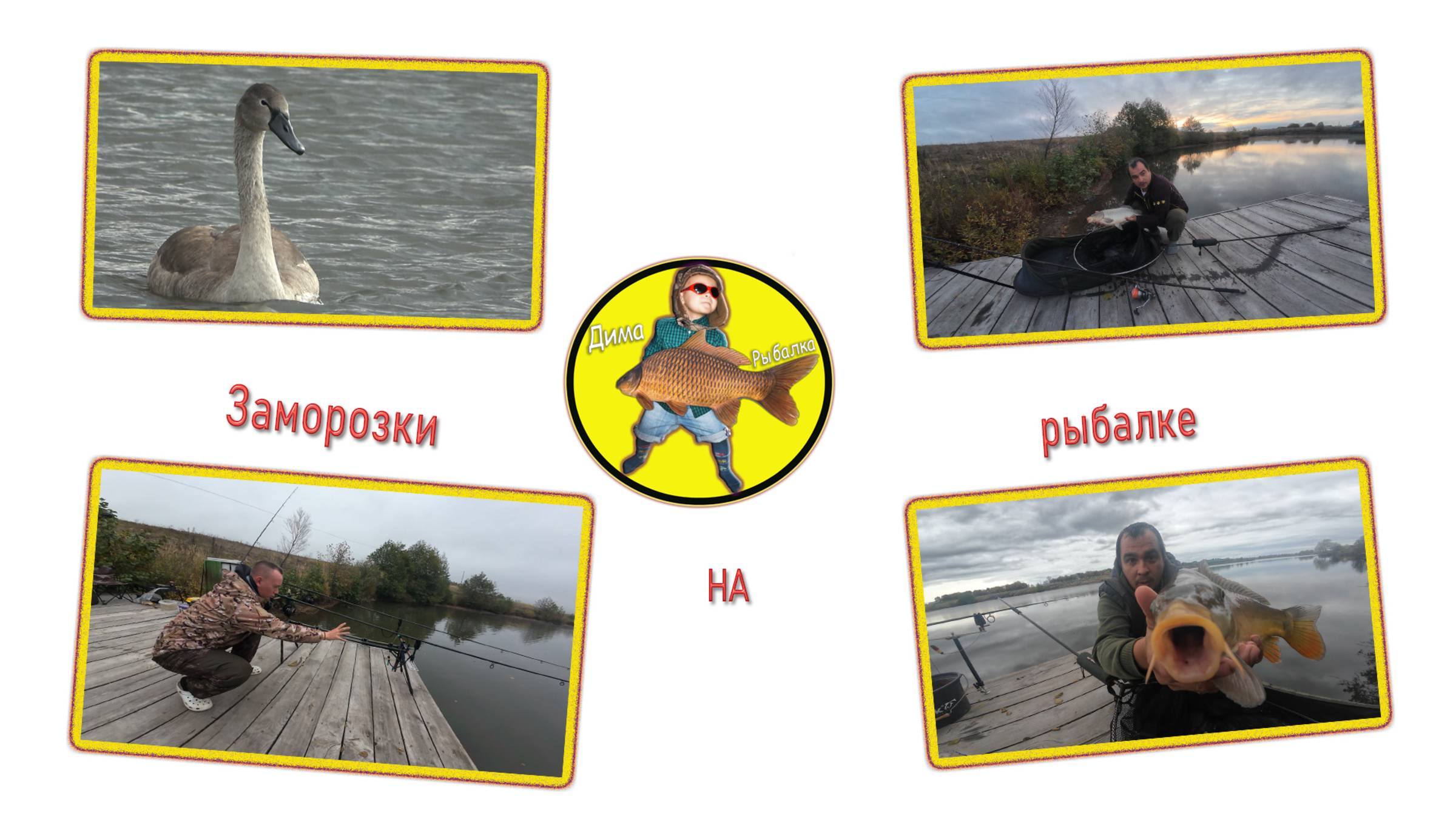 Первые морозы, но карп ловится смотреть онлайн