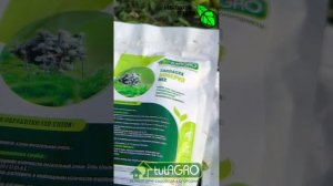 УЖЕ 10 ЛЕТ НЕ ИСПОЛЬЗУЮ ХИМИЮ И РАСТЕНИЯ НЕ БОЛЕЮТ. Вот мой секрет.