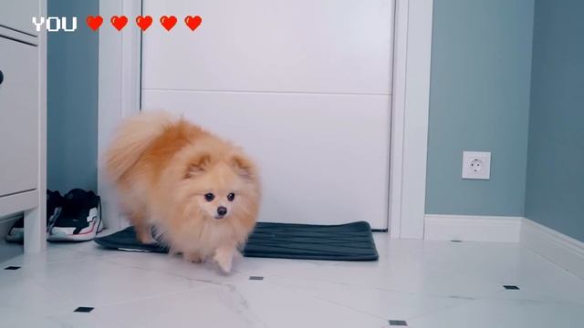 КОШЕЧКА БАТТЕРС И СОБАЧКА ЭЛИС ПОПАЛИ В ИГРУ | ИГРА В РЕАЛЬНОСТИ смотреть онлайн