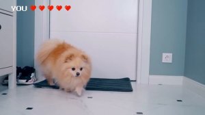 КОШЕЧКА БАТТЕРС И СОБАЧКА ЭЛИС ПОПАЛИ В ИГРУ | ИГРА В РЕАЛЬНОСТИ