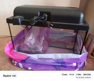 купили аквариум 20 литров компрессор растения для рыбок