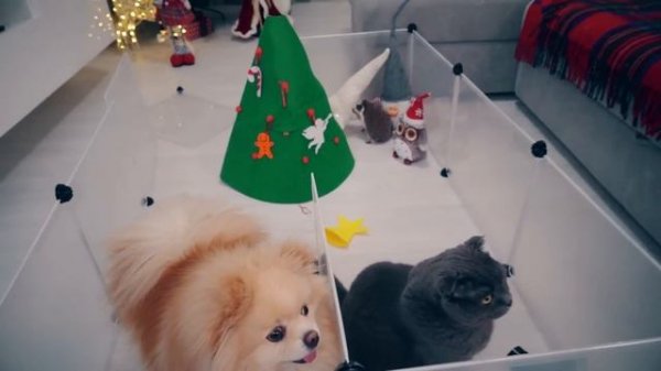 ПОБЕГ ИЗ ТЮРЬМЫ ЧЕЛЛЕНДЖ ! КТО ПОСЛЕДНИЙ покинет НОВОГОДНЮЮ ТЮРЬМУ кот БАТТЕРС ? 24 Часа ЧЕЛЛЕНДЖ