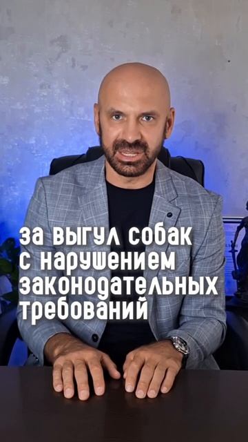 🐕Собакам вход воспрещен: в России ужесточили правила выгула#собака #совет #семья