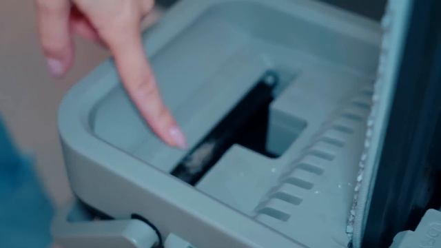 КУПАЮ В ВАННОЙ КОШКУ И СОБАКУ С ЁЖИКОМ | ГЕНЕРАЛЬНАЯ УБОРКА ДОМА С ПИТОМЦАМИ - ZETTER смотреть онлайн