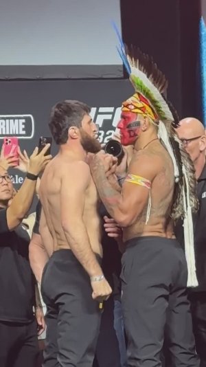 ЗАСТАВЛЮ ПЛАКАТЬ! Анкалаев VS Перейра: БИТВА ВЗГЛЯДОВ #shorts