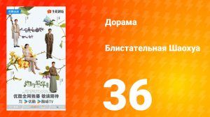 Блистательная Шаохуа 36 серия