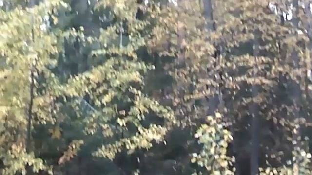 Моё счастье быть с тобой - Автор Наталья Геут музыка и поёт Андрей Храмов смотреть онлайн