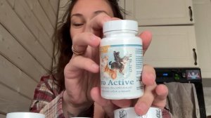 С КОТЕНКОМ ЧТО-ТО СЛУЧИЛОСЬ / Бобрёнок удивил меня / Алиса ловит кошек / Угощения для минипига