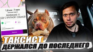 Огромный мохнатый пассажир / Дело - труба / KRUssia  / Такси / Недвижимость/ Стройка / Техник !