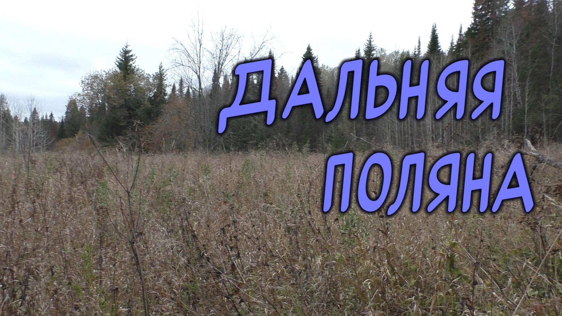 Дальняя поляна