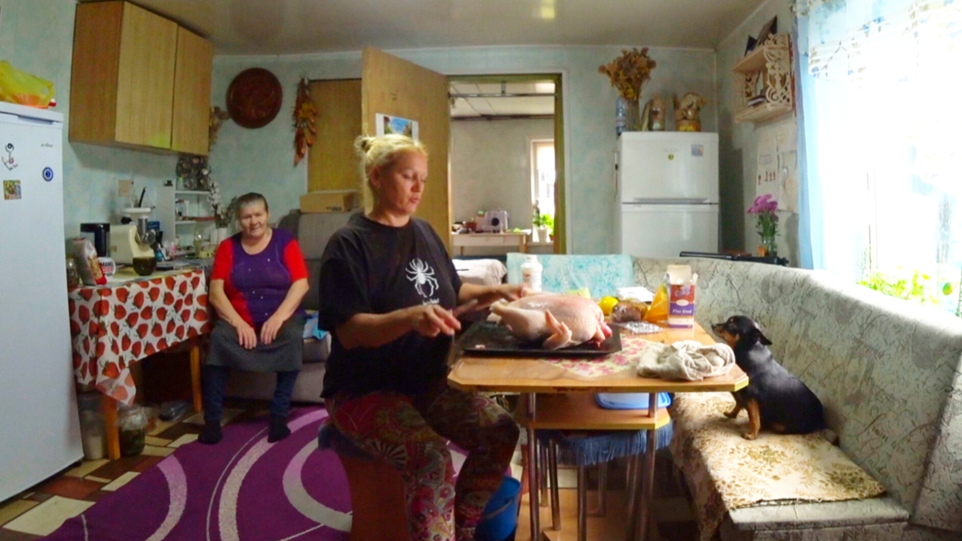 ДЕРЕВНЯ и Мы,Благодарность Светлане,Как Петька?Убрала курицу,вес?Большой синяк😵 смотреть онлайн