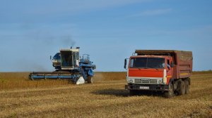 Уборочная-2023. Работа комбайнов Енисей-950 и Енисей-1200-1НМ на обмолоте сои.