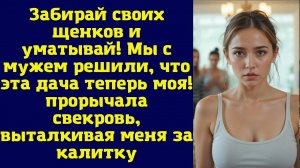 Истории из жизни|Забирай своих щенков!|Аудио рассказы|Аудиокниги слушать онлайн|Жизненные истории