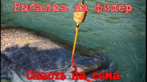 Рыбалка на фидер. Снасть на сома.