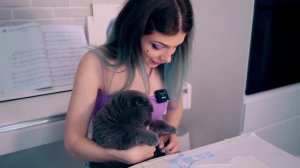 КОТИК САМ РИСУЕТ СВОЮ ПЕРВУЮ КАРТИНУ ЛАПКАМИ | КАРТИНА КОТИКА ЛАПКАМИ КИСЫ БАТТЕРС