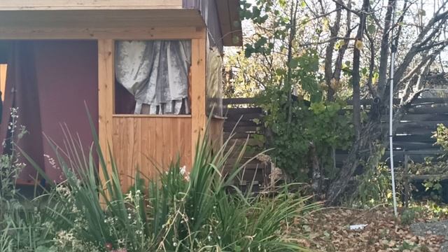 Заброшенная дача/готовим к зиме тихим сапом/04.10.25г смотреть онлайн