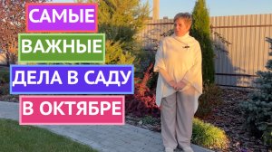 СДЕЛАЙТЕ ЭТО В САДУ СЕЙЧАС И УМЕНЬШИТЕ СЕБЕ РАБОТЫ В САДУ ВЕСНОЙ!