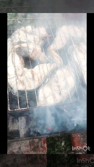 Последние теплые осенние дни. Жарим сома на костре. Очень аппетитный 🐠сом! смотреть онлайн