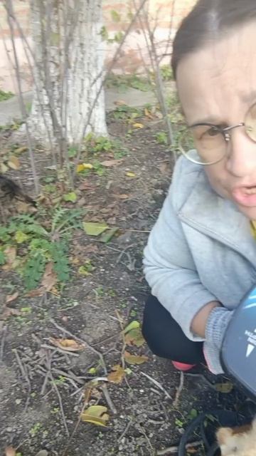 новый сезон металлокопа