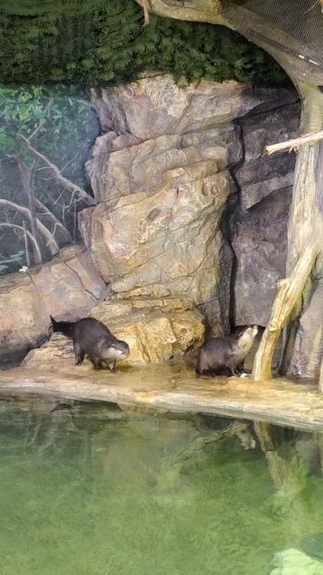 08.2025 Пенза Океанариум  (4)