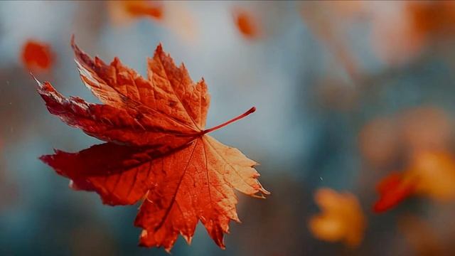 Осень златом расписала смотреть онлайн