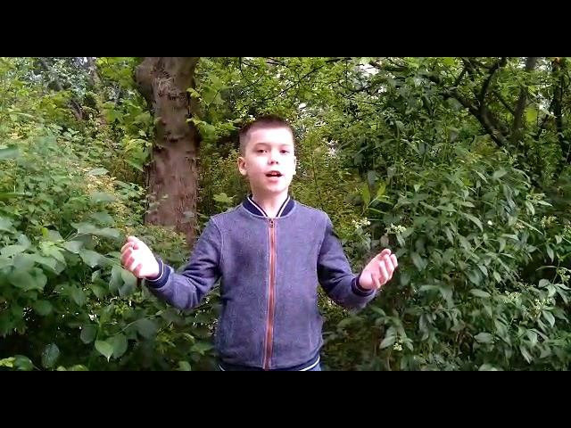 Фестиваль "Солнечный круг" смотреть онлайн