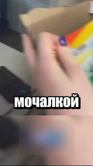 Дикий енот забрался в дом