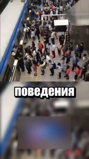 Дисциплина в метро
