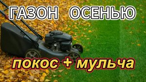 Газон. Покос + мульча осенью — ошибка? #газон #осень #сад